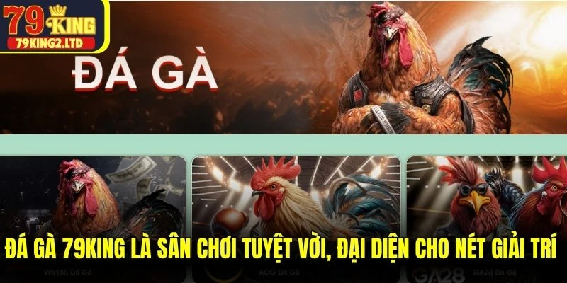 Đá gà 79KING là sân chơi tuyệt vời, đại diện cho nét giải trí đỉnh cao