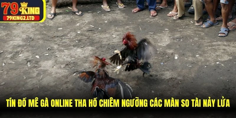 Tín đồ mê gà online tha hồ chiêm ngưỡng các màn so tài nảy lửa