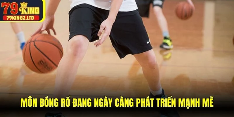 Môn bóng rổ đang ngày càng phát triển mạnh mẽ, tỷ lệ cược hay